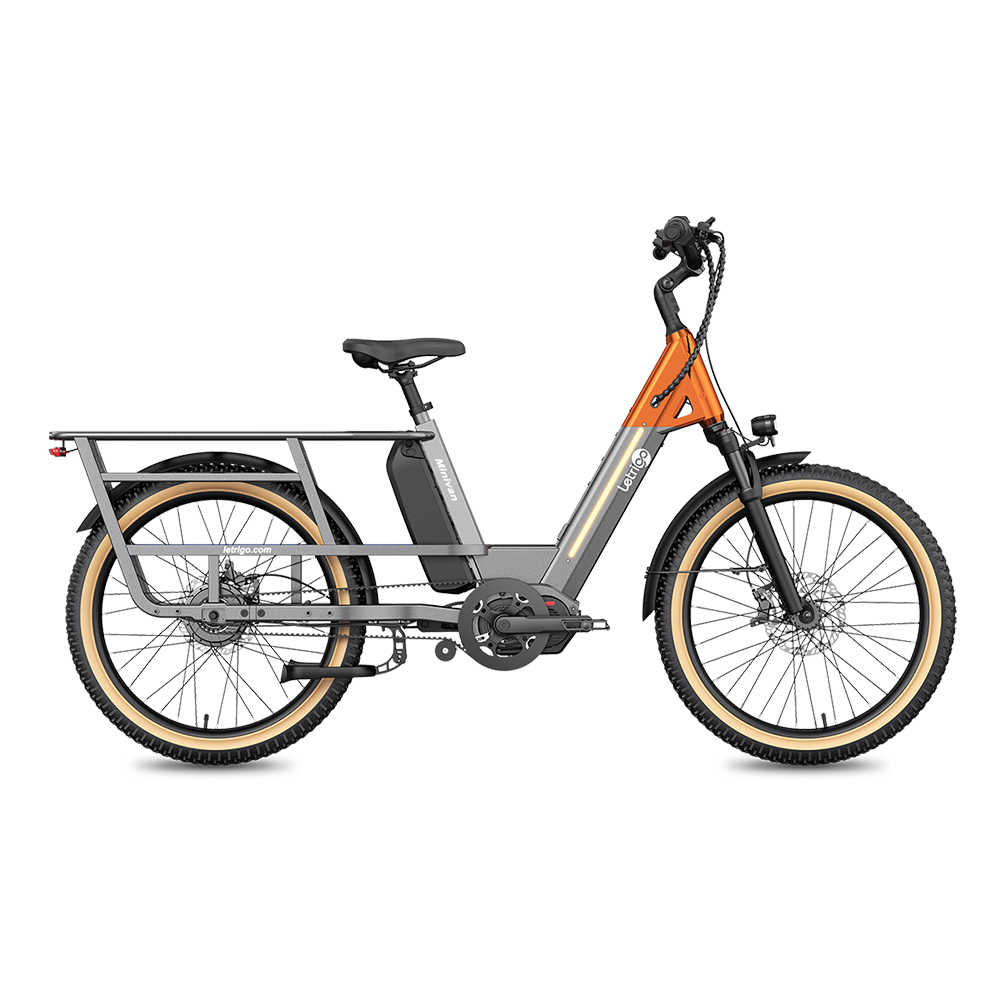 Letrigo Minivan – Gray, side view