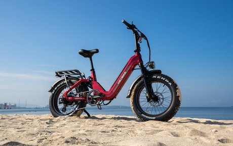Heybike Ranger 3.0 Pro Combo (2 Bikes)