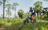 Heybike Mars 3.0