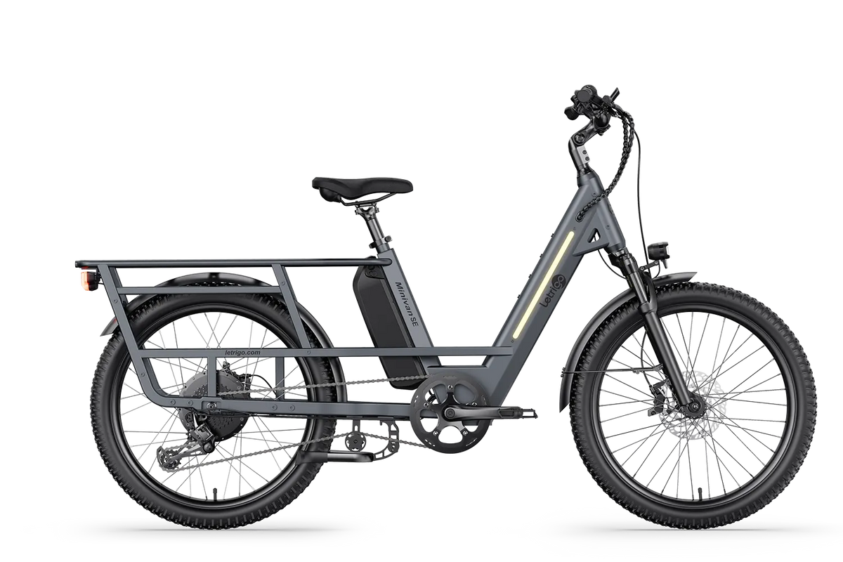 Letrigo Minivan SE – Gray