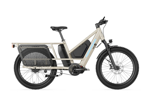Letrigo Workhorse