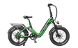 Heybike Ranger 3.0 Pro in Green
