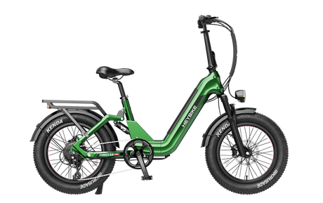 Heybike Ranger 3.0 Pro in Green