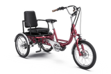 Letrigo Robin electric cargo trike, Red, three-quarter view with rear seat