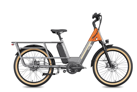 Letrigo Minivan – Gray