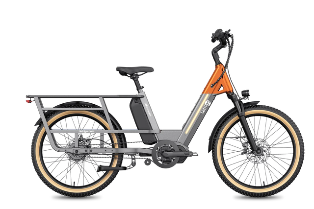 Letrigo Minivan – Gray