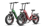 Heybike Ranger 3.0 Pro Combo (2 Bikes)