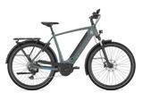 Gazelle Bikes Ultimate T10 High Step