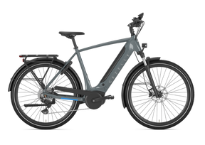 Gazelle Bikes Ultimate T10 High Step