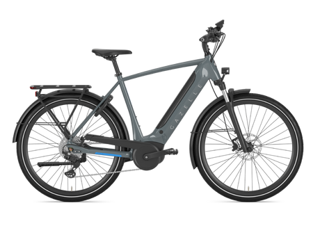 Gazelle Bikes Ultimate T10 High Step