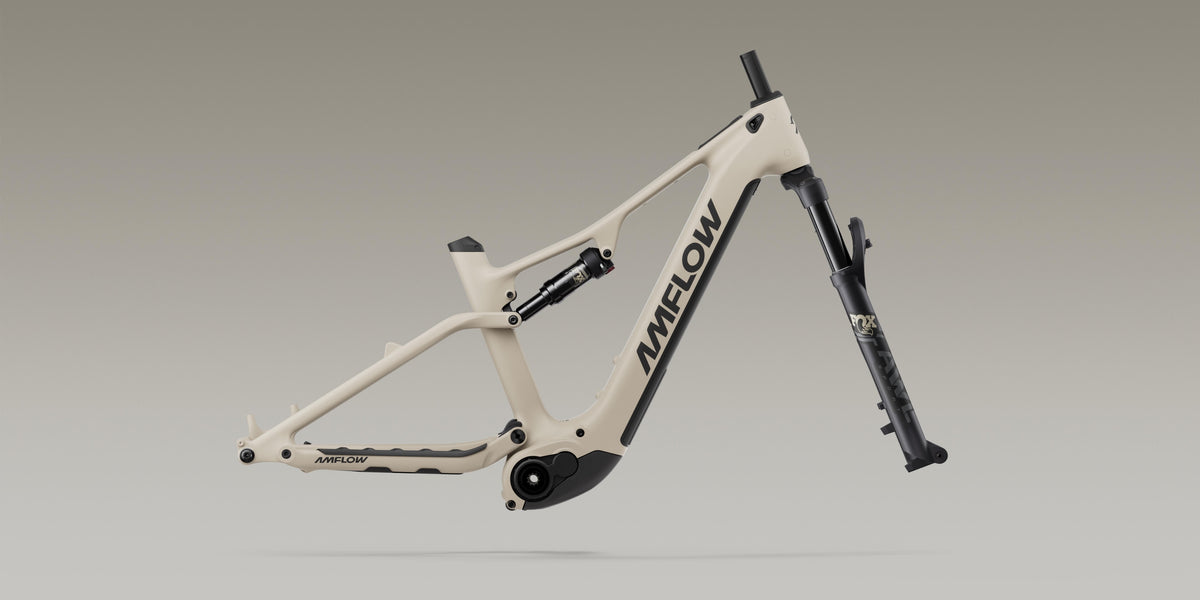 Amflow TL Carbon frame with Avinox M2 drive unit and FOX fork