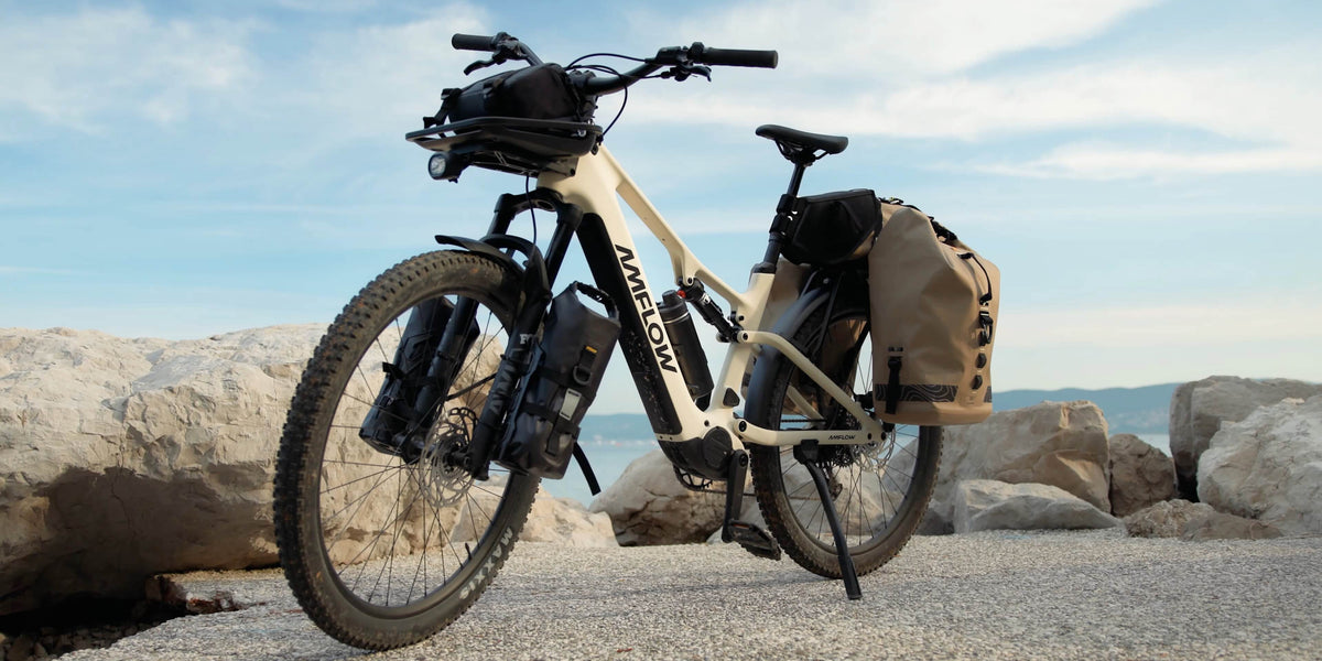Amflow TL Carbon loaded for touring
