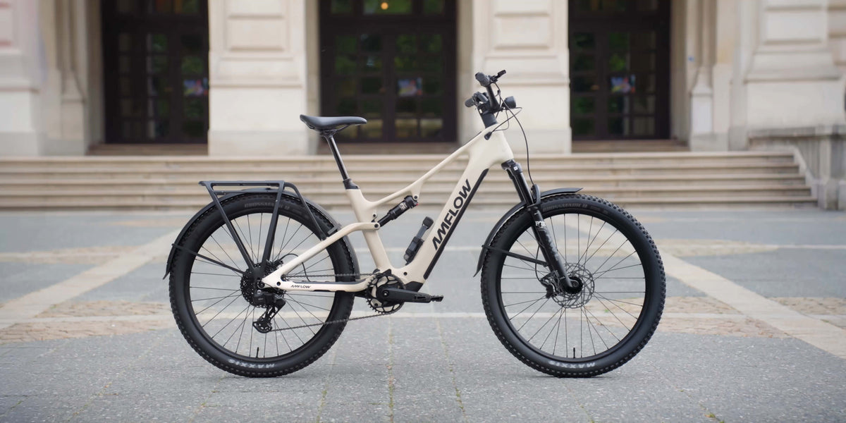 Amflow TL Carbon with rack and mudguards in the city