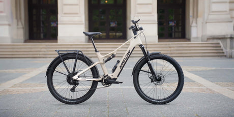 Amflow TL Carbon with rack and mudguards in the city